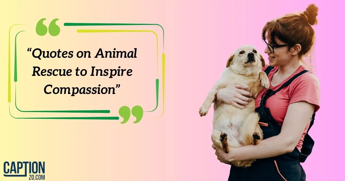 Animal Rescue To Inspire Compassion