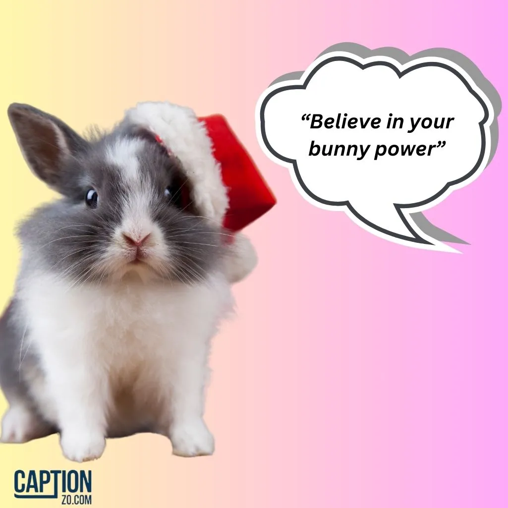 Believe in your bunny power