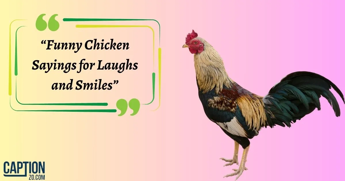 Funny Chicken