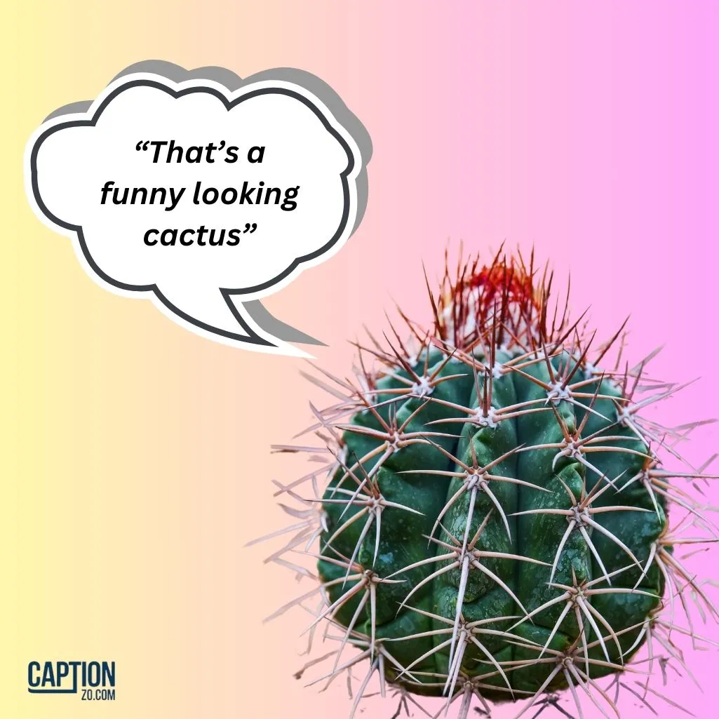 That’s a funny looking cactus