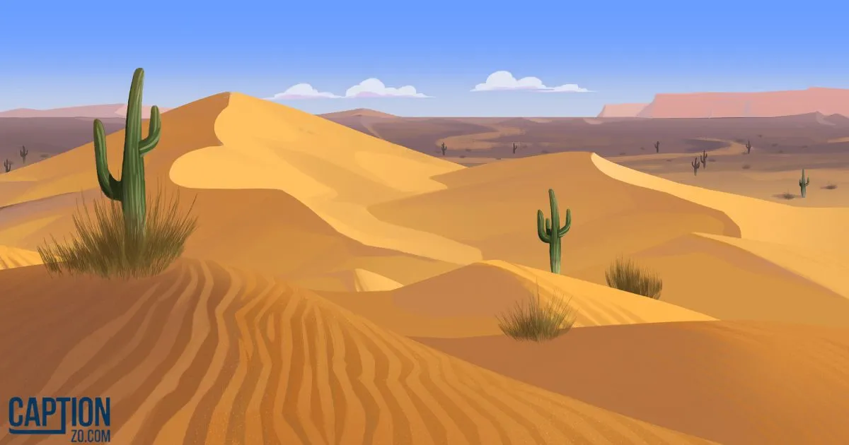 Quirky Desert