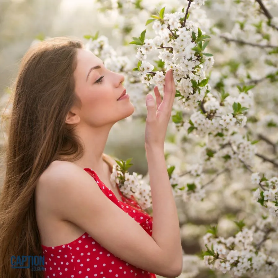 Spring Winds Carry The Scent Of Flowers