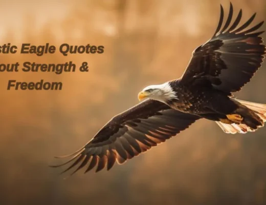 Eagle Quotes