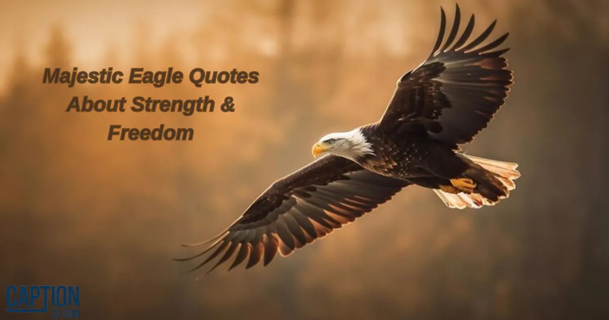 Eagle Quotes