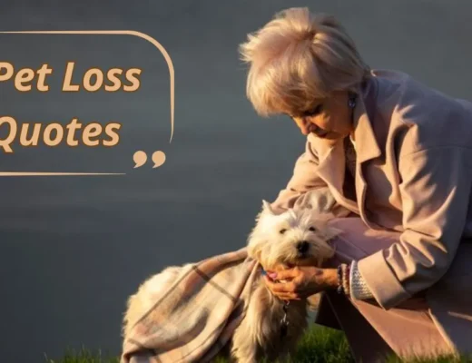 Pet Loss Quotes