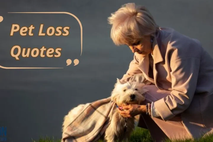 Pet Loss Quotes