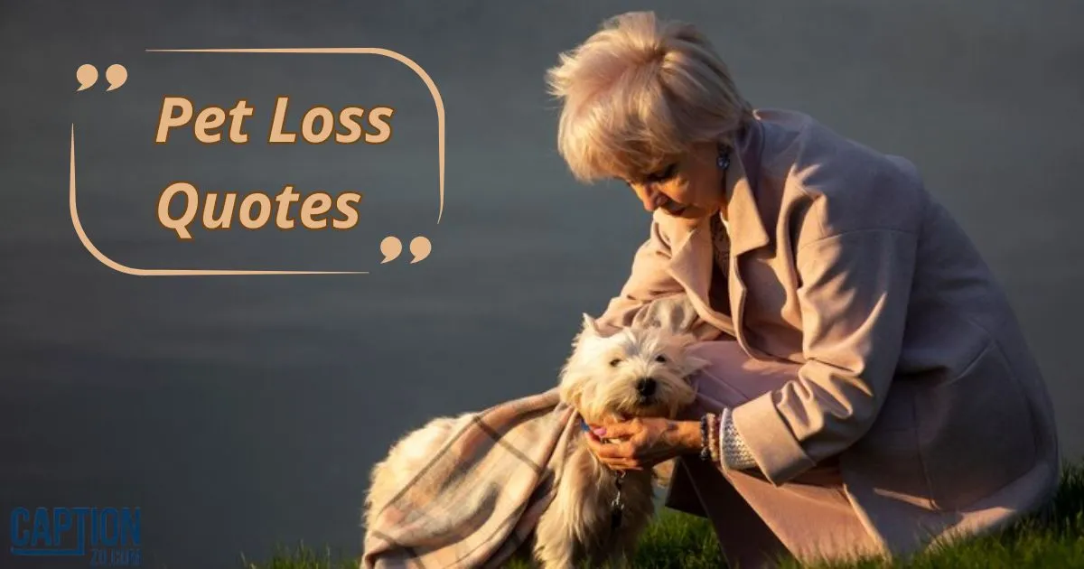 Pet Loss Quotes