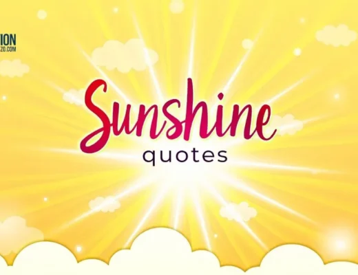 Sunshine Quotes